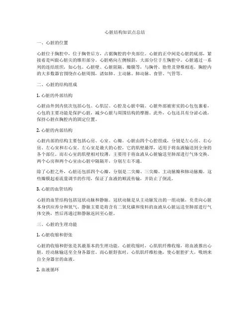 心脏结构知识点总结