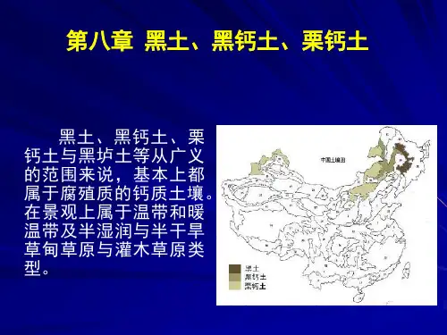 08黑土、黑钙土、栗钙土