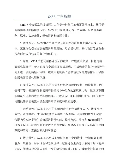 CASS工艺原理