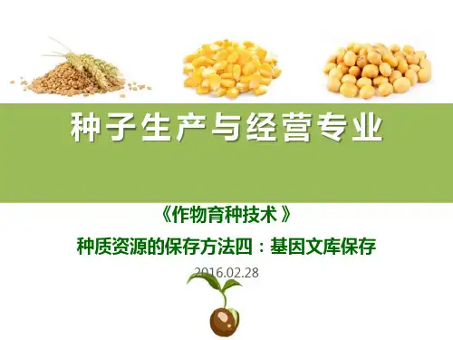 种质资源的保存方法之基因文库保存(作物育种技术课件)