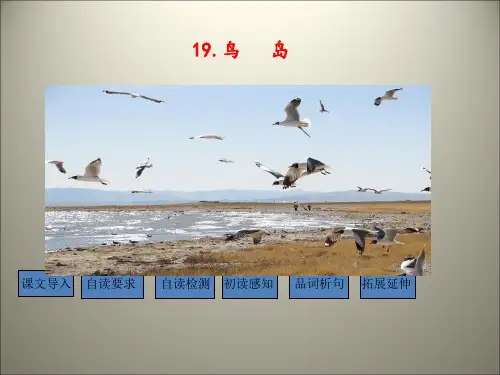 (赛课课件)苏教版二年级下语文《鸟岛》(共17张PPT)