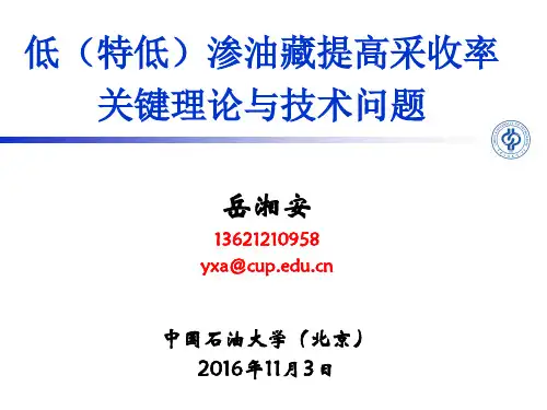 岳湘安-低渗、致密油藏提高采收率技术方向