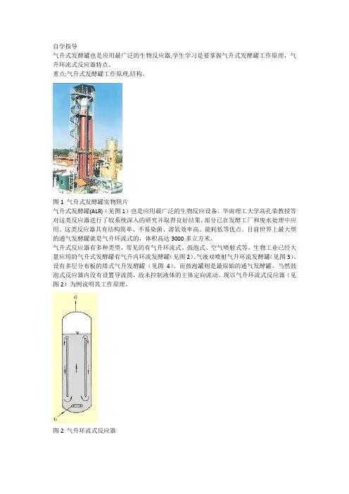 气升环流式反应器