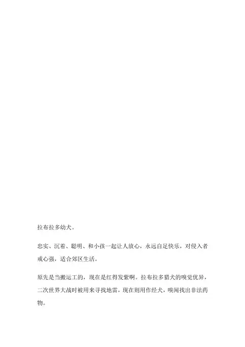 狗狗图片大全