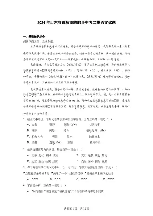 2024年山东省潍坊市临朐县中考二模语文试题