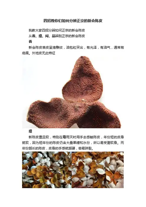 四招教你们如何分辨正宗的新会陈皮