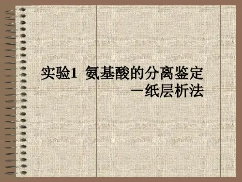 实验1 氨基酸的分离鉴定.ppt