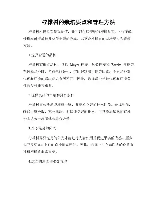 柠檬树的栽培要点和管理方法