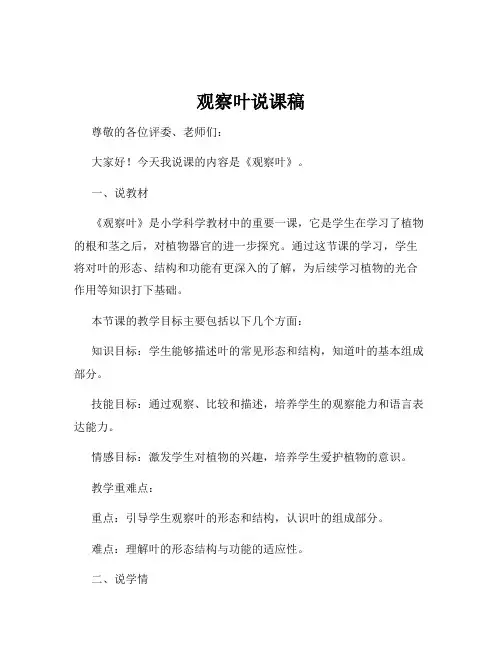 观察叶说课稿
