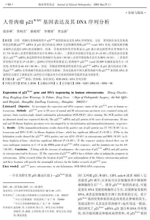 人骨肉瘤p21WAF1基因表达及其DNA序列分析