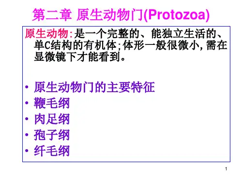 动物学 2-1原生动物门,鞭毛纲