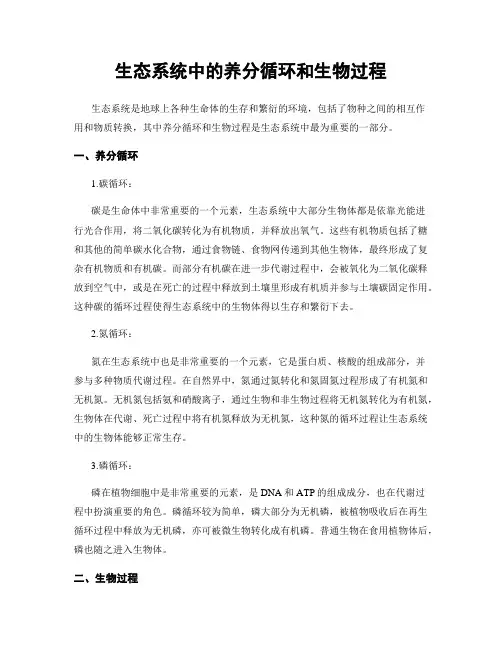 生态系统中的养分循环和生物过程