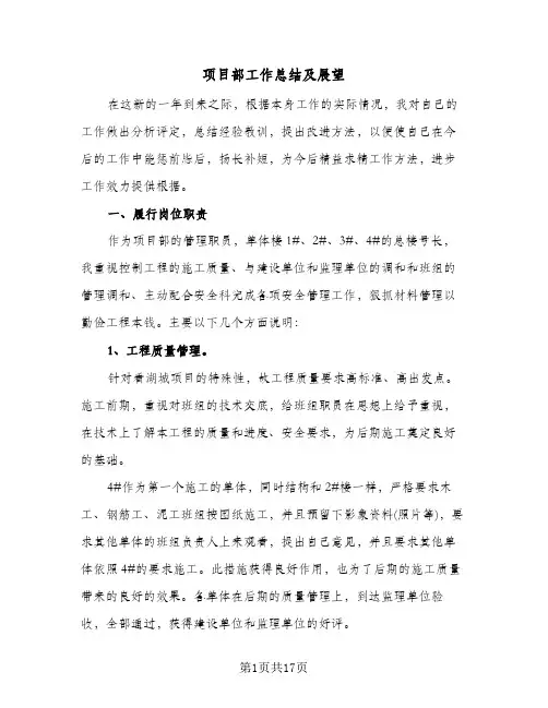 项目部工作总结及展望(4篇)
