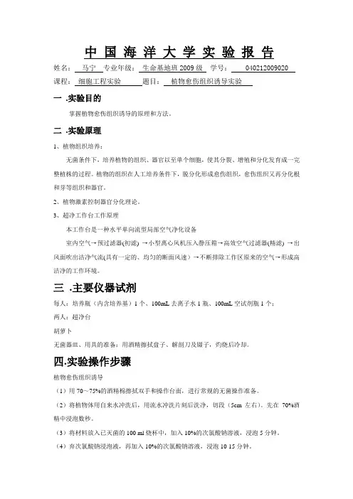 植物愈伤组织诱导实验