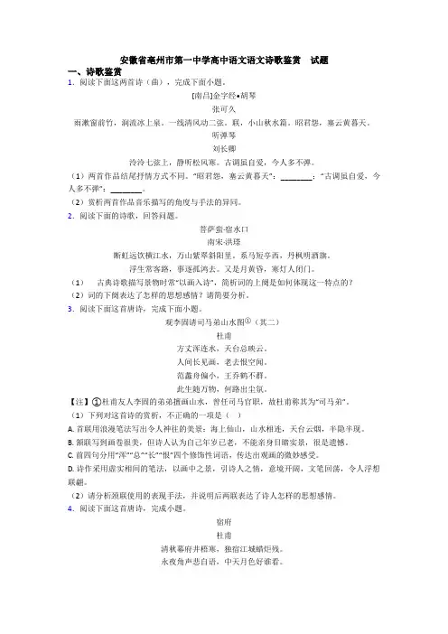 安徽省亳州市第一中学高中语文语文诗歌鉴赏 试题