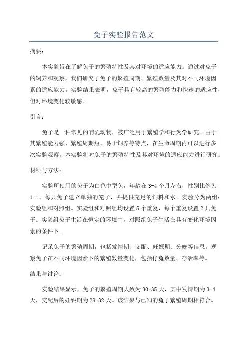 兔子实验报告范文