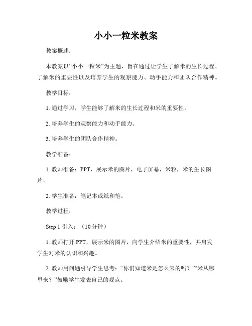 小小一粒米教案