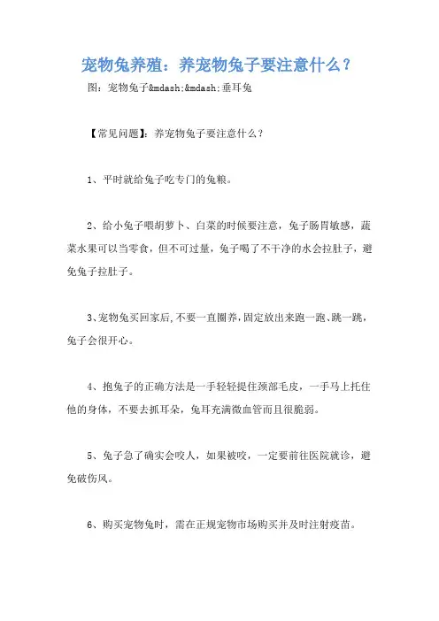 宠物兔养殖：养宠物兔子要注意什么？