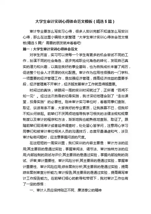 大学生审计实训心得体会范文模板（精选5篇）