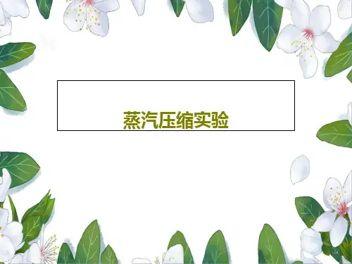 蒸汽压缩实验共24页文档