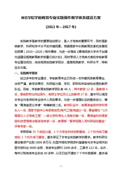 实践教学体系建设方案