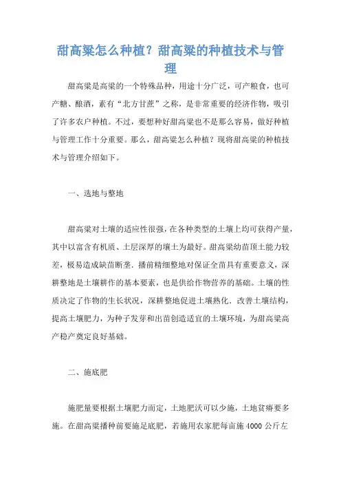 甜高粱怎么种植？甜高粱的种植技术与管理
