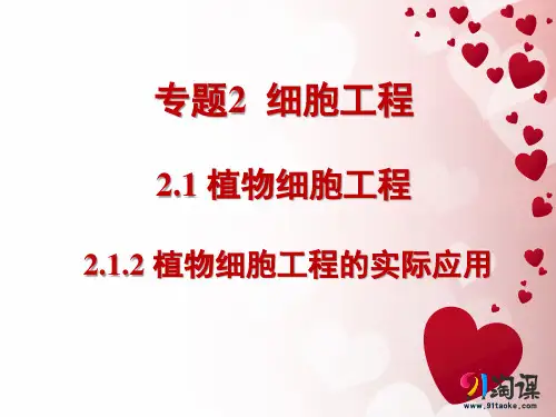 原创5：2.1.2 植物细胞工程的实际应用