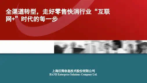 汉德咨询SAP方案