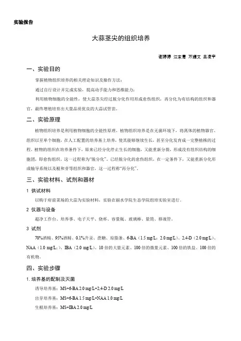 植物组织培养报告