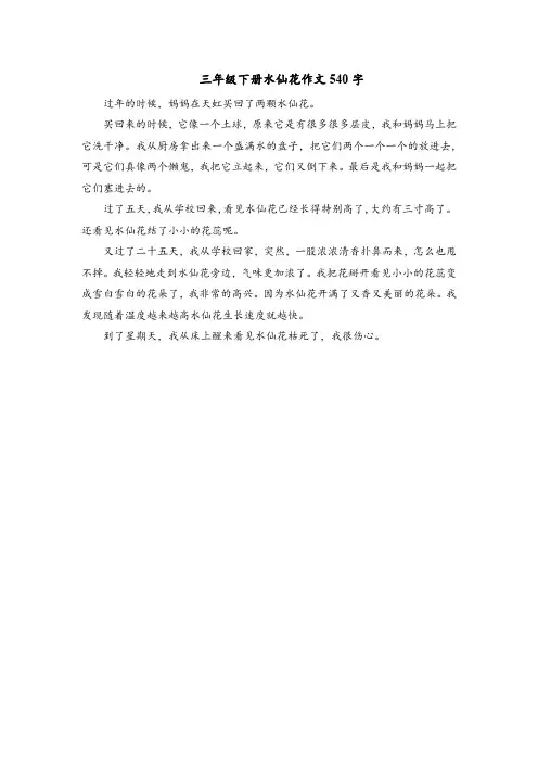 三年级下册水仙花作文540字