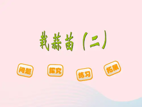 四年级数学下册《栽蒜苗(二)》课件1北师大版