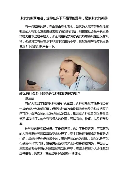 脱发的你要知道，这种在乡下不起眼的野草，是治脱发的神器