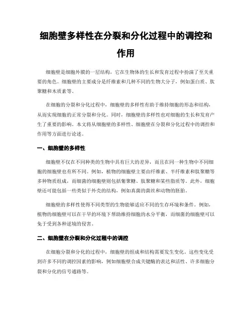 细胞壁多样性在分裂和分化过程中的调控和作用