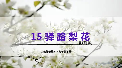 《驿路梨花》ppt课件
