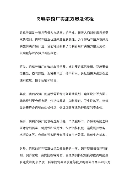 肉鸭养殖厂实施方案及流程