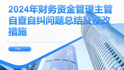 2024年财务资金管理主管自查自纠问题总结及整改措施