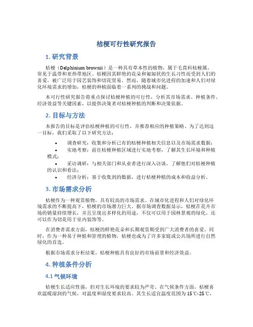 桔梗可行性研究报告