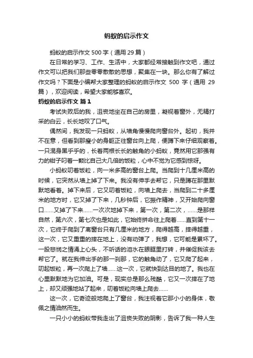 蚂蚁的启示作文