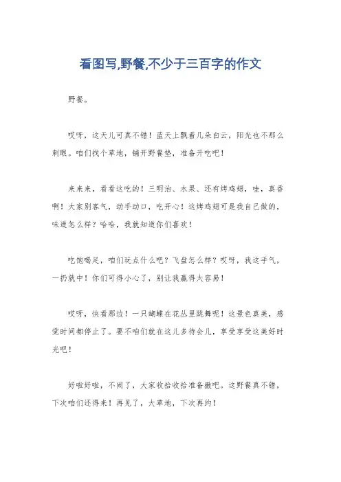 看图写,野餐,不少于三百字的作文