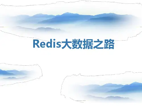 Redis技术分享精品PPT课件