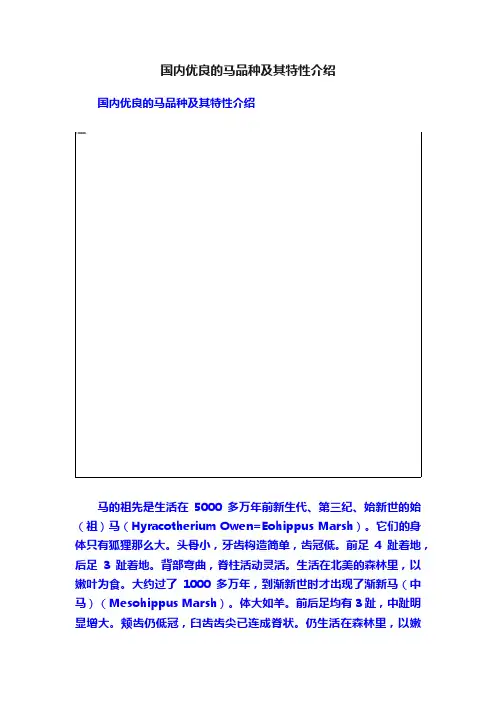 国内优良的马品种及其特性介绍