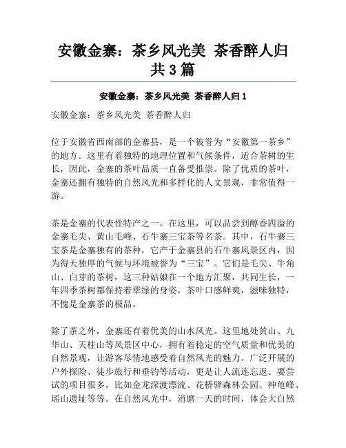 安徽金寨：茶乡风光美茶香醉人归共3篇