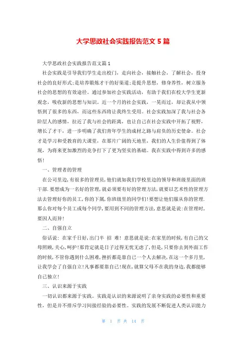大学思政社会实践报告范文5篇