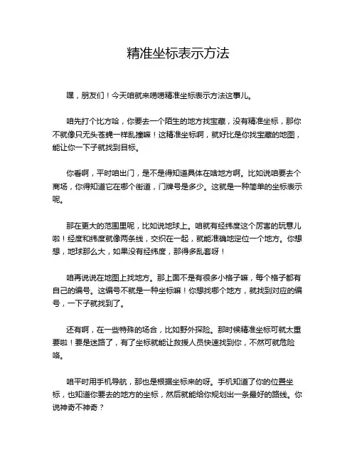 精准坐标表示方法