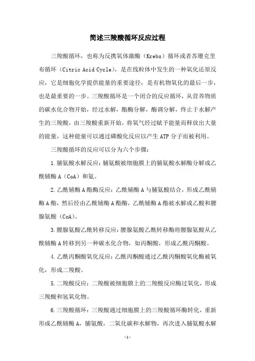 简述三羧酸循环反应过程