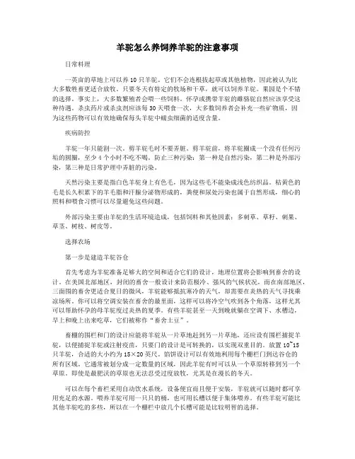 羊驼怎么养饲养羊驼的注意事项