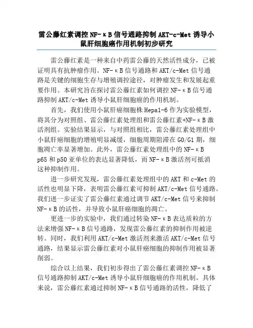 雷公藤红素调控NF-κB信号通路抑制AKT-c-Met诱导小鼠肝细胞癌作用机制初步研究