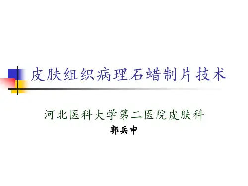 皮肤组织病理石蜡切片技术