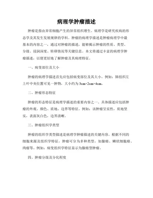病理学肿瘤描述