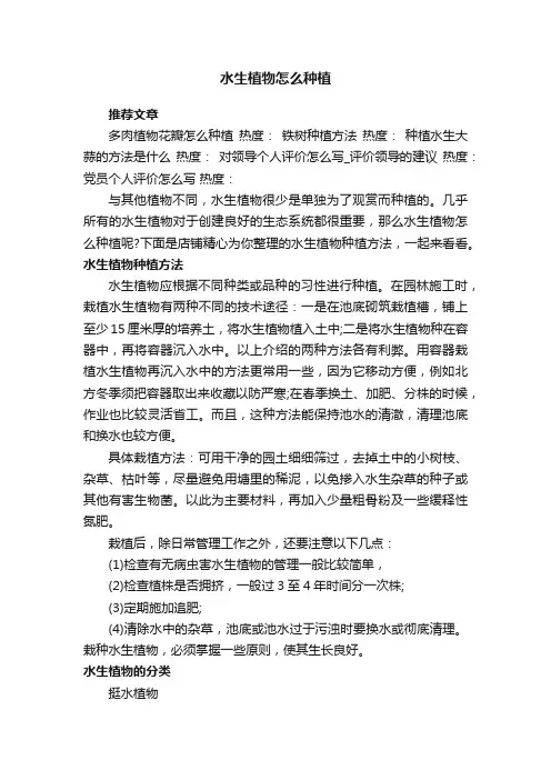 水生植物怎么种植